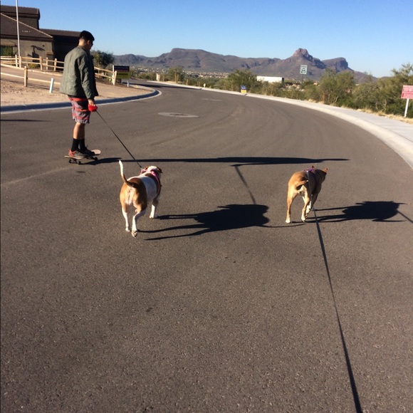 Meet your Posher, Valencia - Picture 3 of 6